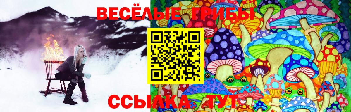 Благовещенск  магазин  наркотиков  Вход с VPN  Псилоцибиновые грибы Psilocybe 