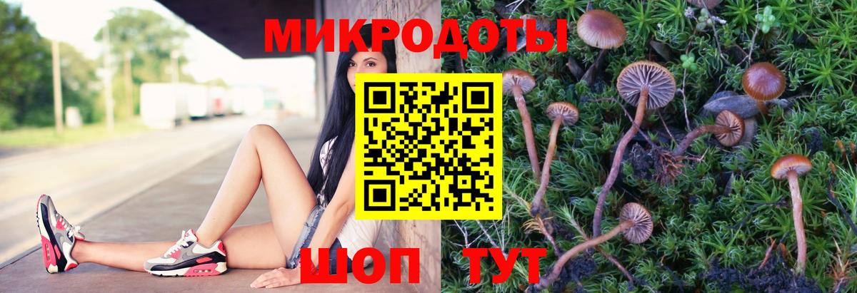 Галлюциногенные грибы MAGIC MUSHROOMS Благовещенск